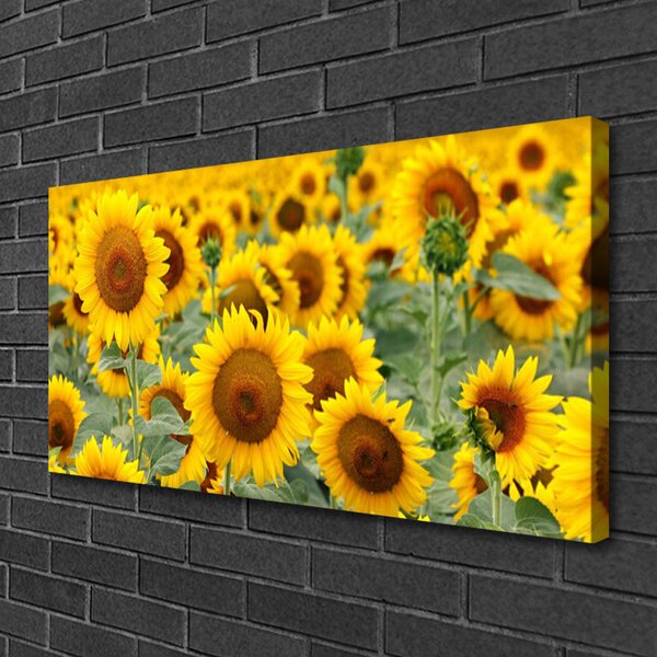 Quadro su tela Girasoli, piante, natura 100x50 cm