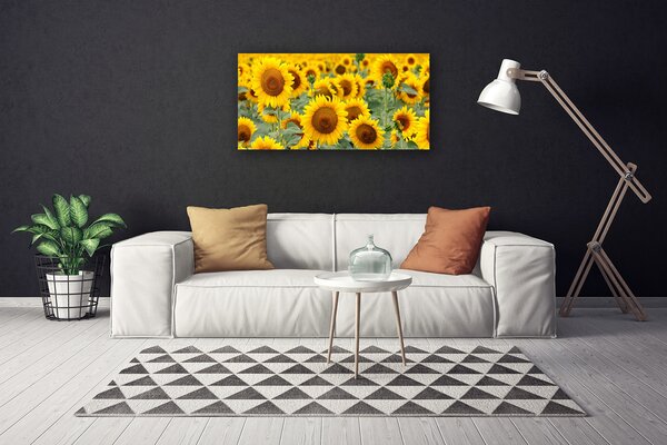 Quadro su tela Girasoli, piante, natura 100x50 cm