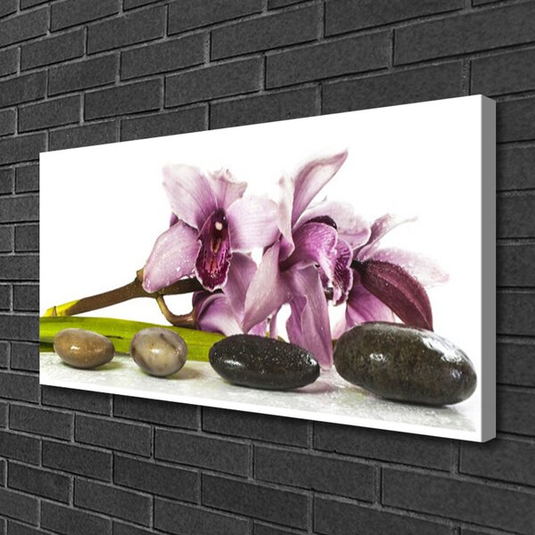 Quadro su tela Pianta di pietre di fiori 100x50 cm
