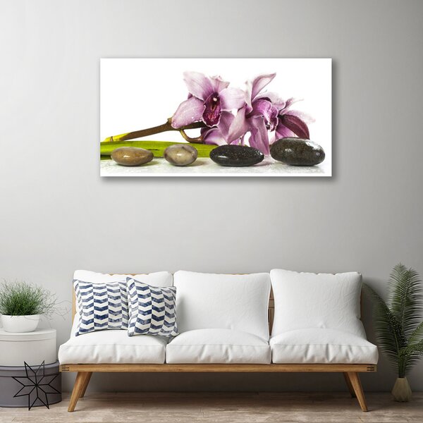 Quadro su tela Pianta di pietre di fiori 100x50 cm