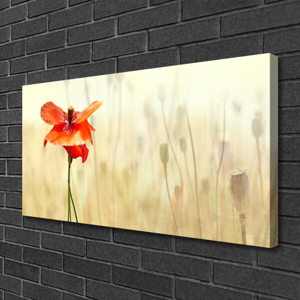 Quadro su tela Natura, papaveri, piante 100x50 cm