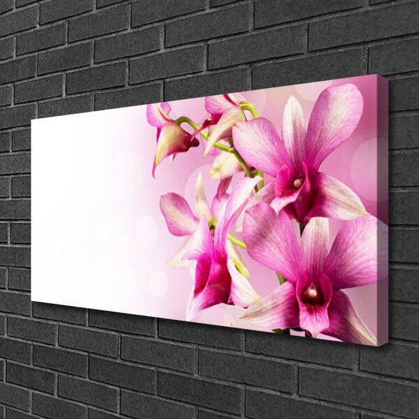 Quadro su tela Fiori, piante, natura 100x50 cm