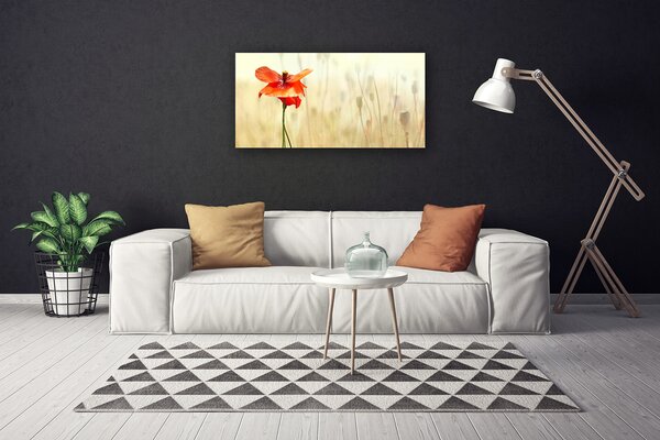 Quadro su tela Natura, papaveri, piante 100x50 cm