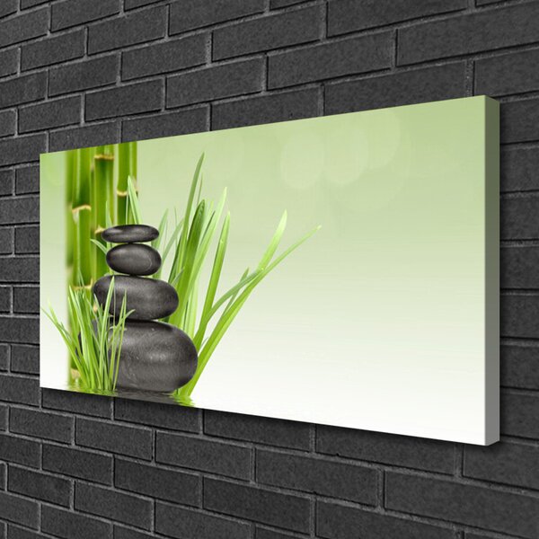 Quadro su tela Bambù Erba Pianta Natura 100x50 cm