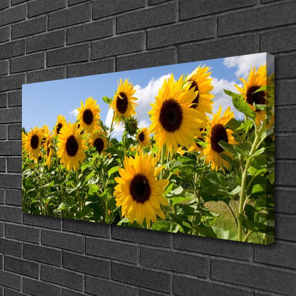 Quadro su tela Pianta di fiori di girasole 100x50 cm
