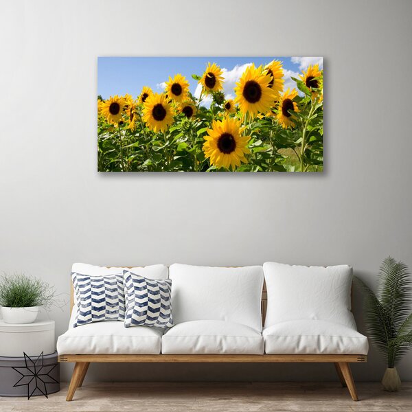 Quadro su tela Pianta di fiori di girasole 100x50 cm