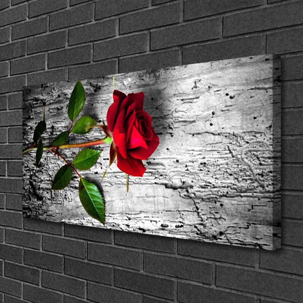 Quadro su tela Natura della pianta del fiore della rosa 100x50 cm