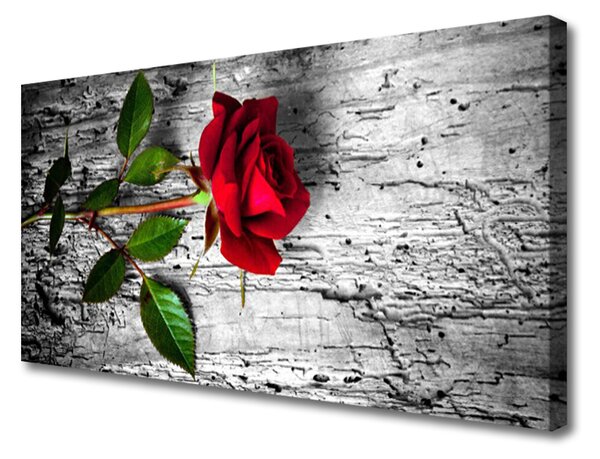 Quadro su tela Natura della pianta del fiore della rosa 100x50 cm