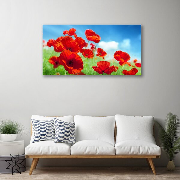Quadro su tela Natura, papaveri, piante 100x50 cm