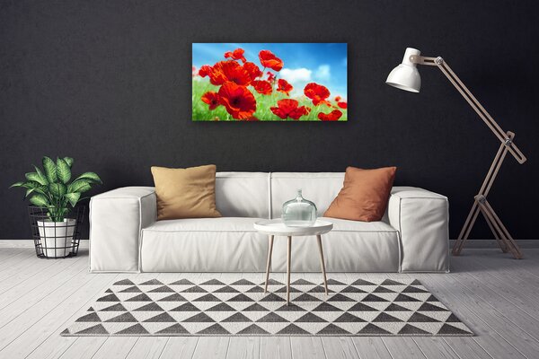 Quadro su tela Natura, papaveri, piante 100x50 cm