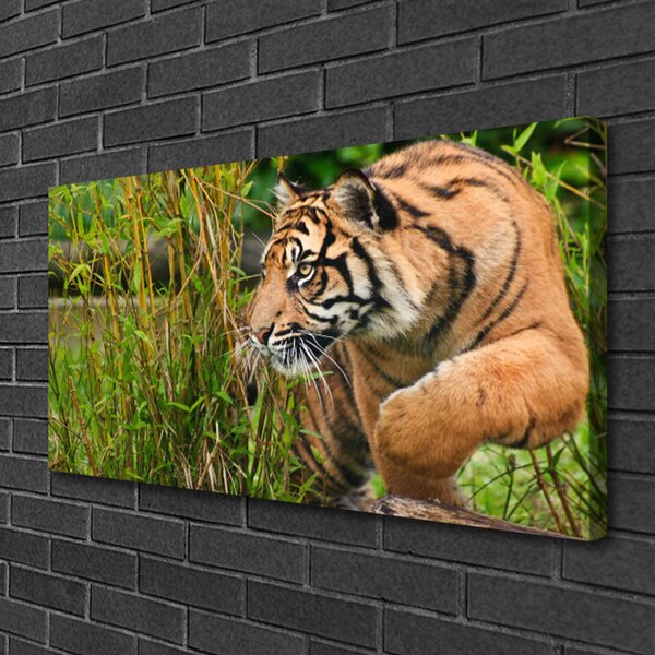 Quadro su tela Animali tigre 100x50 cm