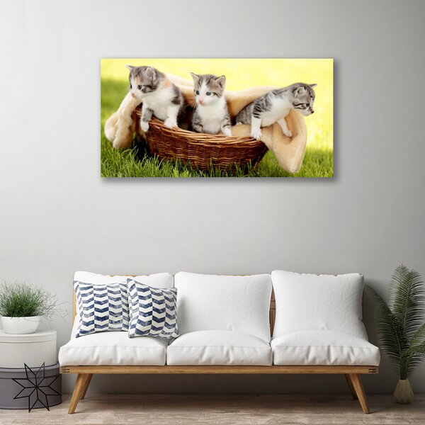 Quadro stampa su tela Gatti Animali domestici 100x50 cm