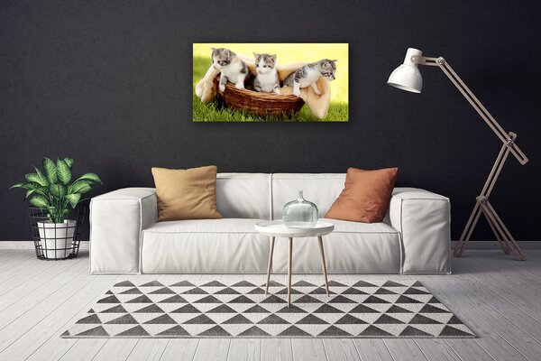 Quadro stampa su tela Gatti Animali domestici 100x50 cm
