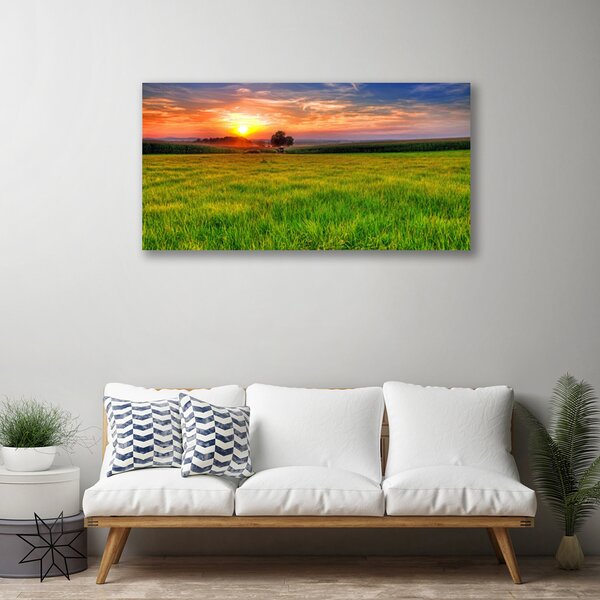 Quadro su tela Prato, Sole, Natura 100x50 cm