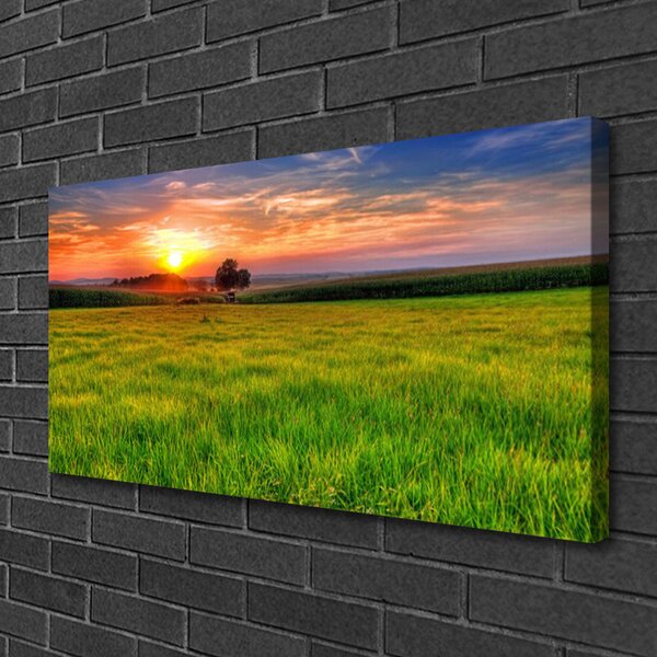 Quadro su tela Prato, Sole, Natura 100x50 cm