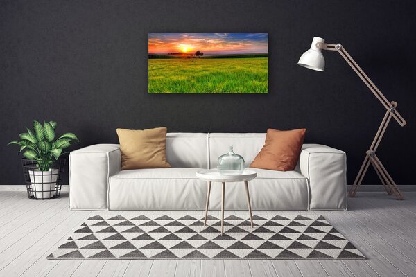 Quadro su tela Prato, Sole, Natura 100x50 cm