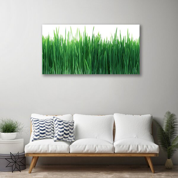 Stampa quadro su tela Erba Natura Pianta 100x50 cm