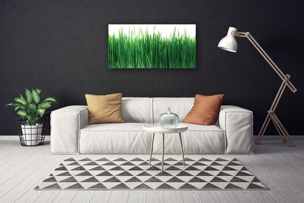 Stampa quadro su tela Erba Natura Pianta 100x50 cm
