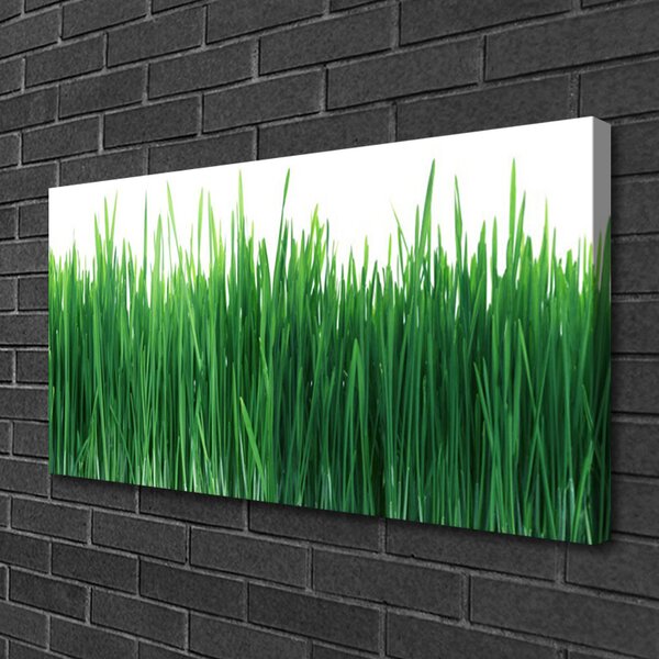 Stampa quadro su tela Erba Natura Pianta 100x50 cm