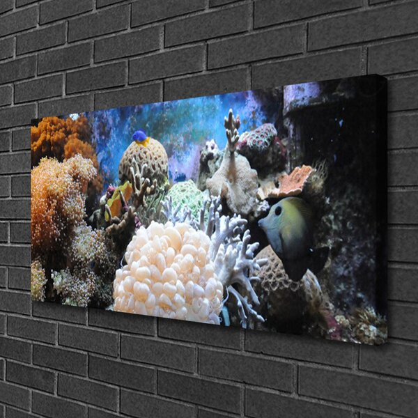 Quadro su tela Natura della barriera corallina 100x50 cm
