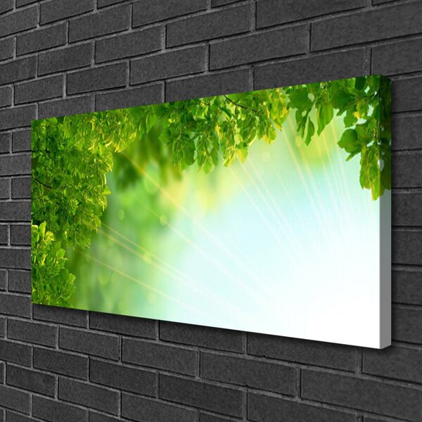 Quadro su tela Foglie di piante naturali 100x50 cm