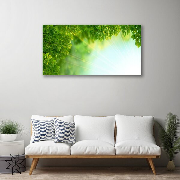 Quadro su tela Foglie di piante naturali 100x50 cm