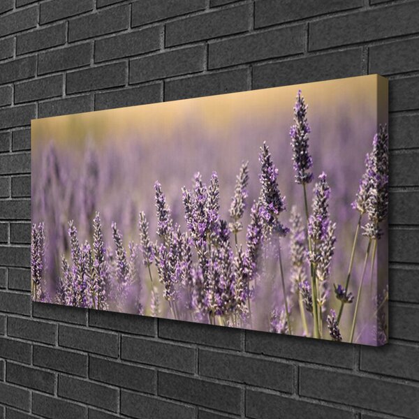 Quadro su tela Fiori, piante, natura 100x50 cm