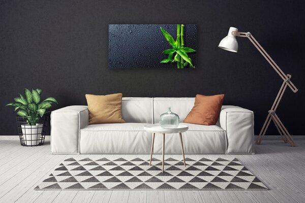 Quadro su tela Bambù Stelo Pianta Natura 100x50 cm
