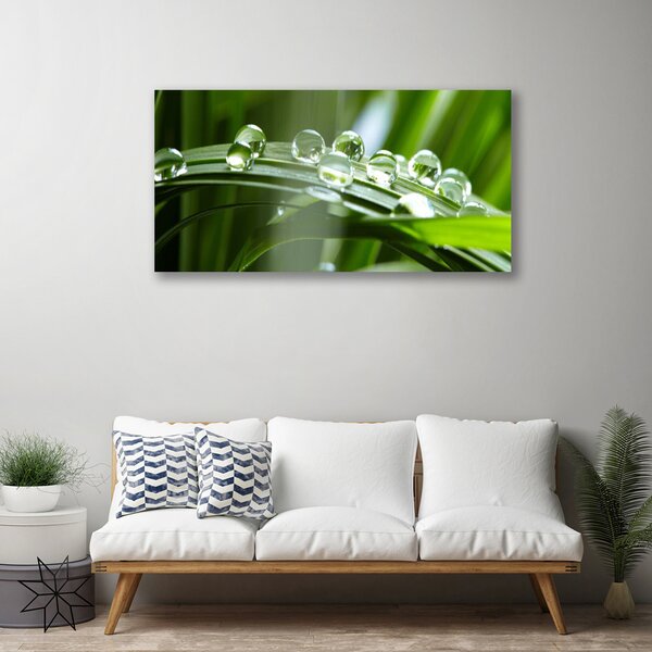 Quadro su tela Erba, Rosa, Gocce 100x50 cm