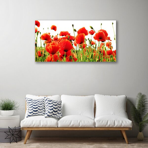 Quadro su tela Natura, papaveri, piante 100x50 cm