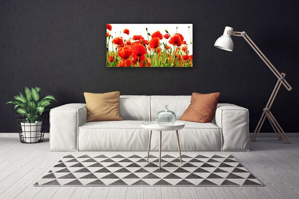 Quadro su tela Natura, papaveri, piante 100x50 cm