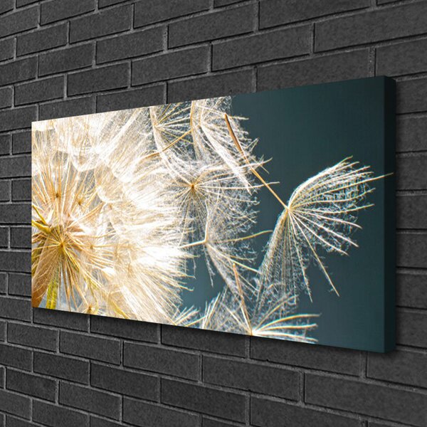 Stampa quadro su tela Pianta di tarassaco 100x50 cm
