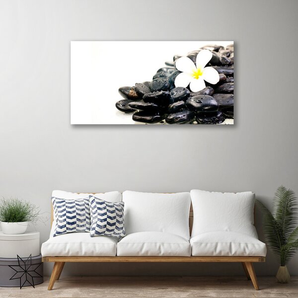 Stampa quadro su tela Fiori Pietre Art 100x50 cm