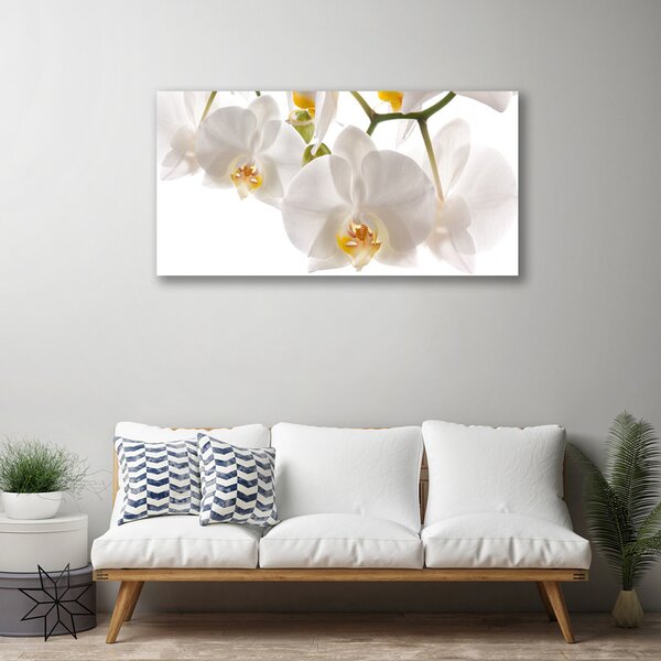 Quadro su tela Fiori, piante, natura 100x50 cm