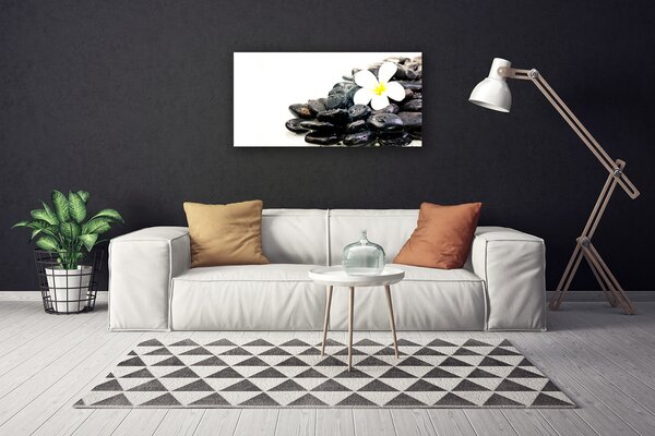 Stampa quadro su tela Fiori Pietre Art 100x50 cm