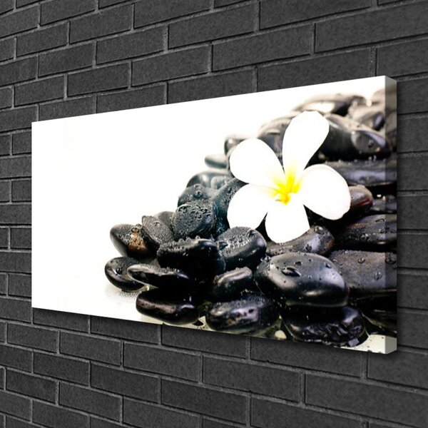 Stampa quadro su tela Fiori Pietre Art 100x50 cm