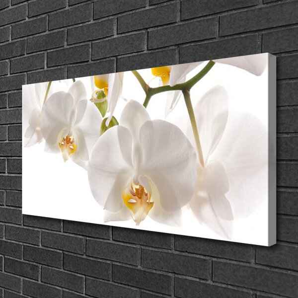 Quadro su tela Fiori, piante, natura 100x50 cm