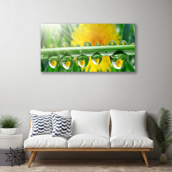 Quadro su tela Stelo Gocce Rugiada Pianta 100x50 cm