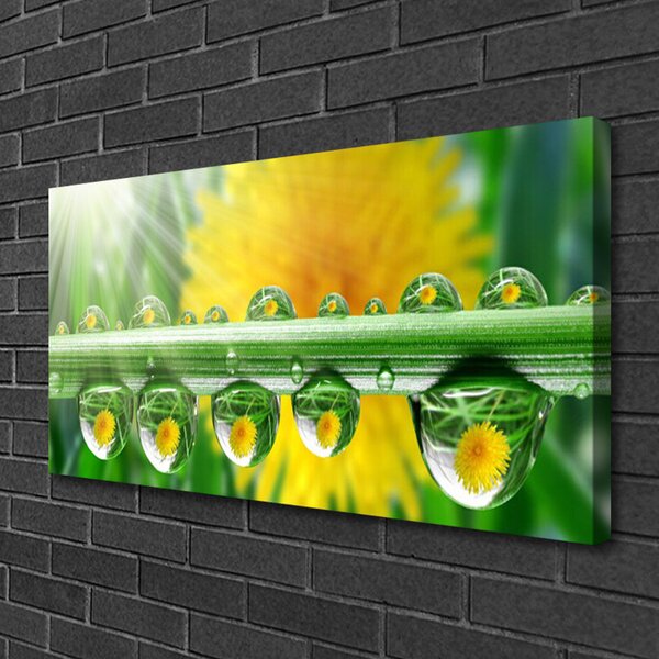 Quadro su tela Stelo Gocce Rugiada Pianta 100x50 cm