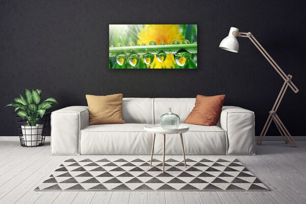Quadro su tela Stelo Gocce Rugiada Pianta 100x50 cm