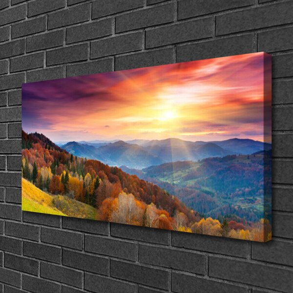 Foto quadro su tela Paesaggio del sole della montagna della foresta 100x50 cm