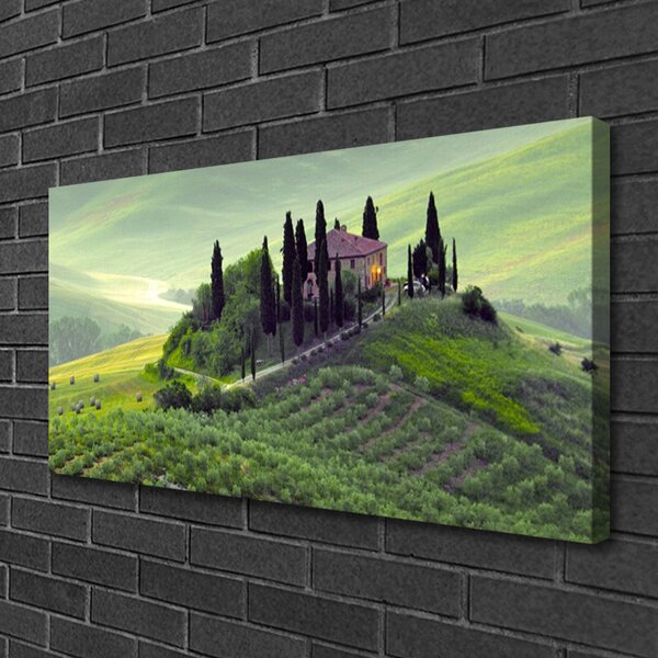 Quadro su tela Prato degli alberi della natura 100x50 cm