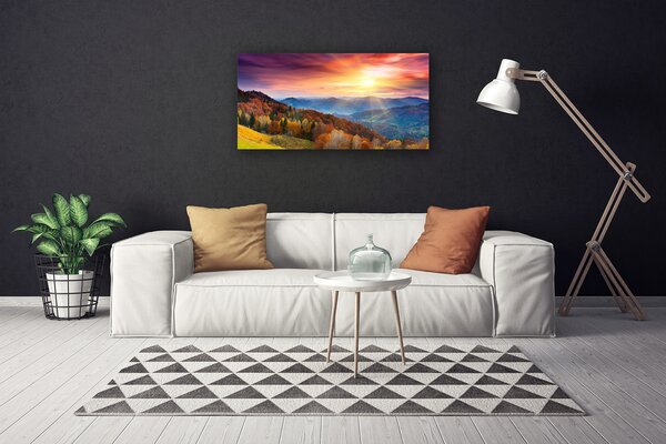 Foto quadro su tela Paesaggio del sole della montagna della foresta 100x50 cm