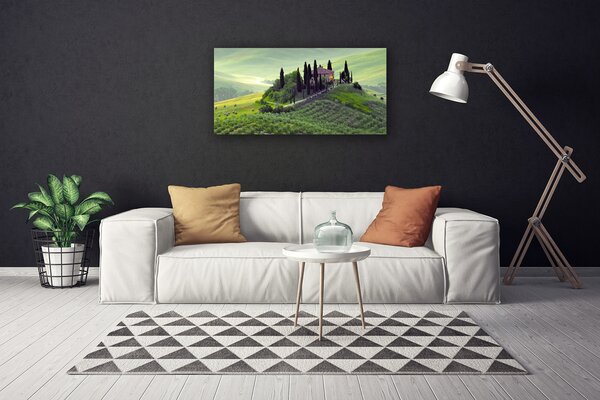 Quadro su tela Prato degli alberi della natura 100x50 cm