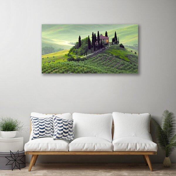 Quadro su tela Prato degli alberi della natura 100x50 cm