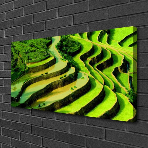 Quadro stampa su tela Campo di riso Natura della foresta 100x50 cm