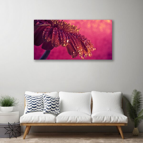Quadro su tela Albero della pianta della natura 100x50 cm