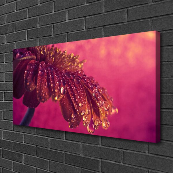 Quadro su tela Albero della pianta della natura 100x50 cm