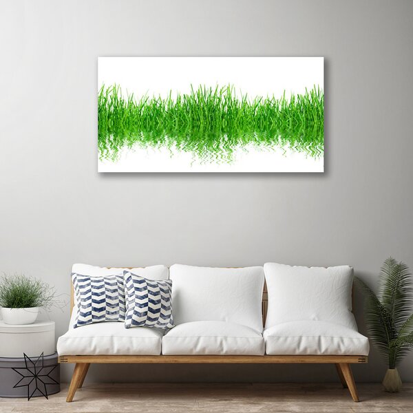 Stampa quadro su tela Erba, piante, natura 100x50 cm