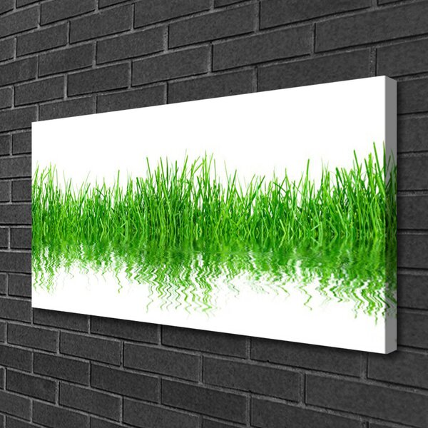 Stampa quadro su tela Erba, piante, natura 100x50 cm